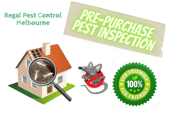 Get rid of creepy, crawling & pesky creatures with Pest Control Melbourne service