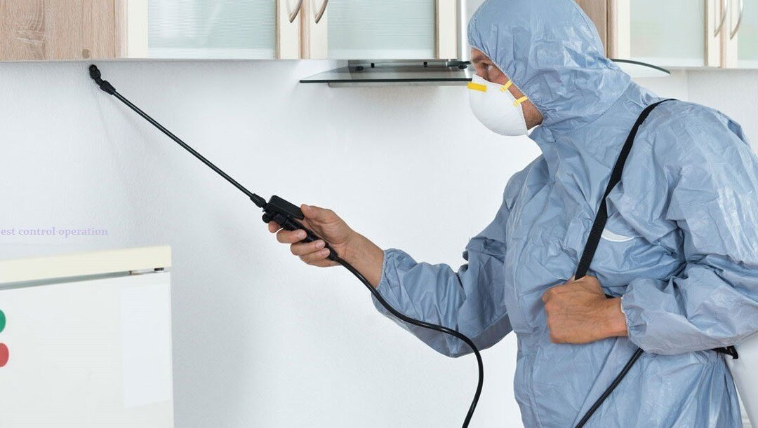 Why pest control Melbourne service is essential for every home?