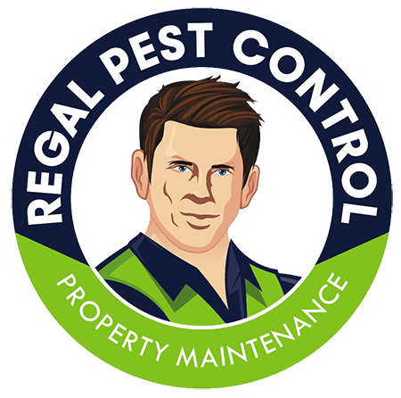Regal Pest Control Melbourne